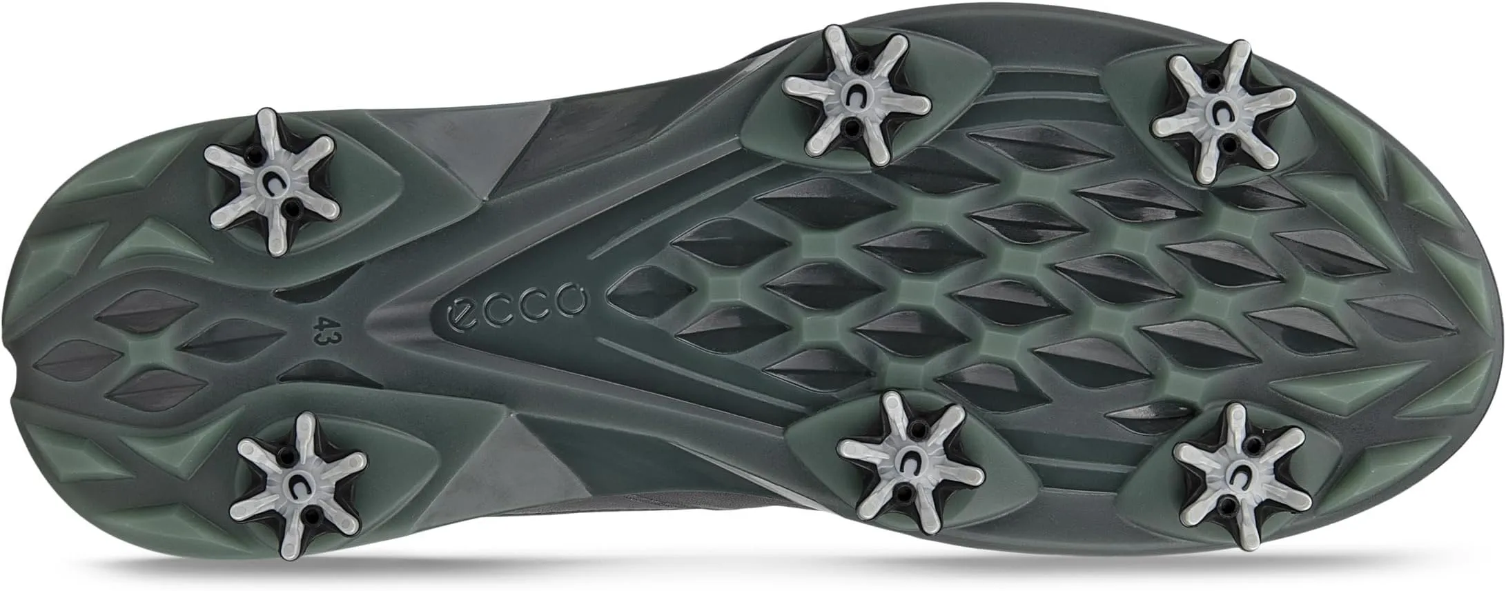 Biom G5 BOA Golf Shoes ECCO, Magnet color
