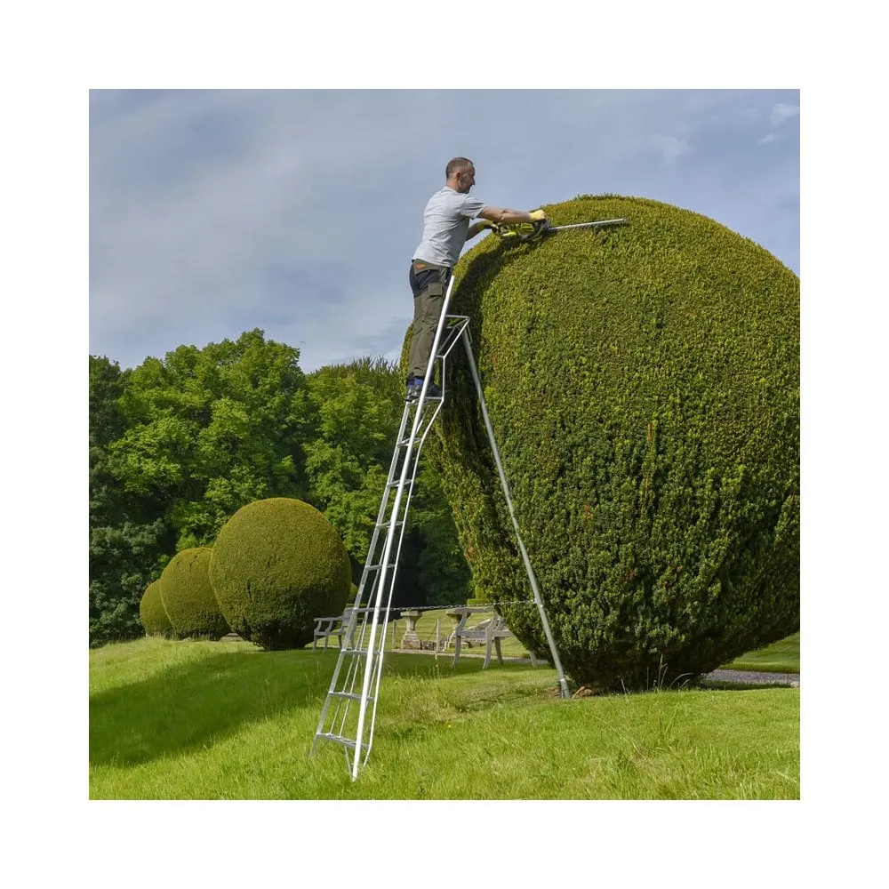 Platform Tripod Ladder