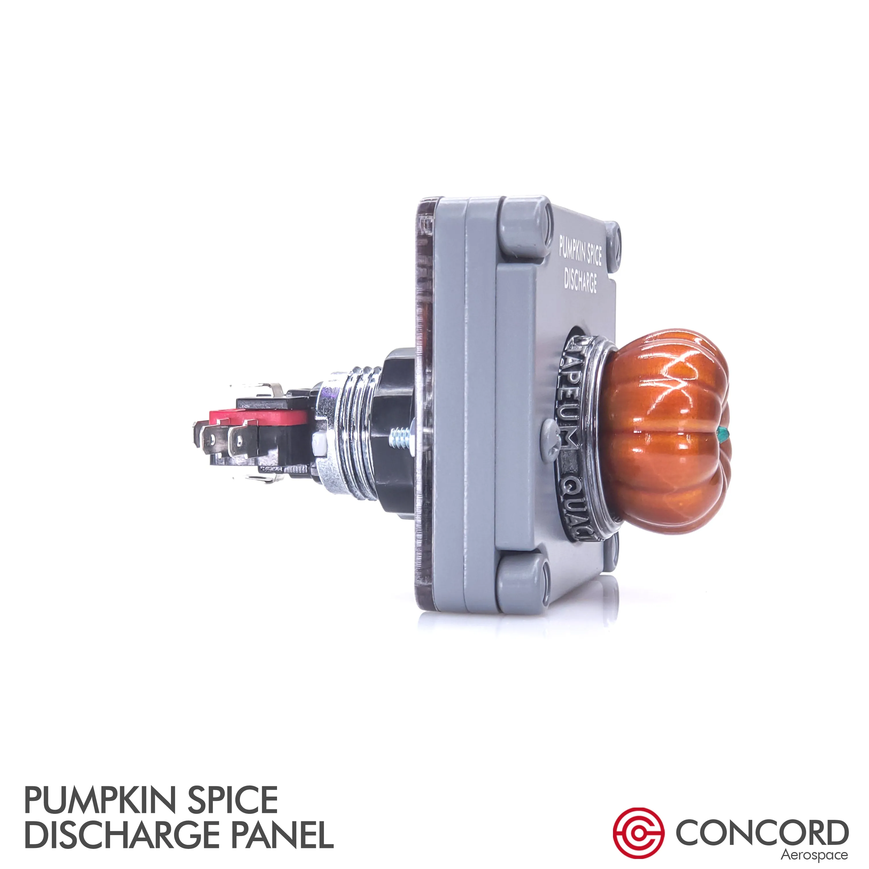 PUMPKIN SPICE DISCHARGE PANEL