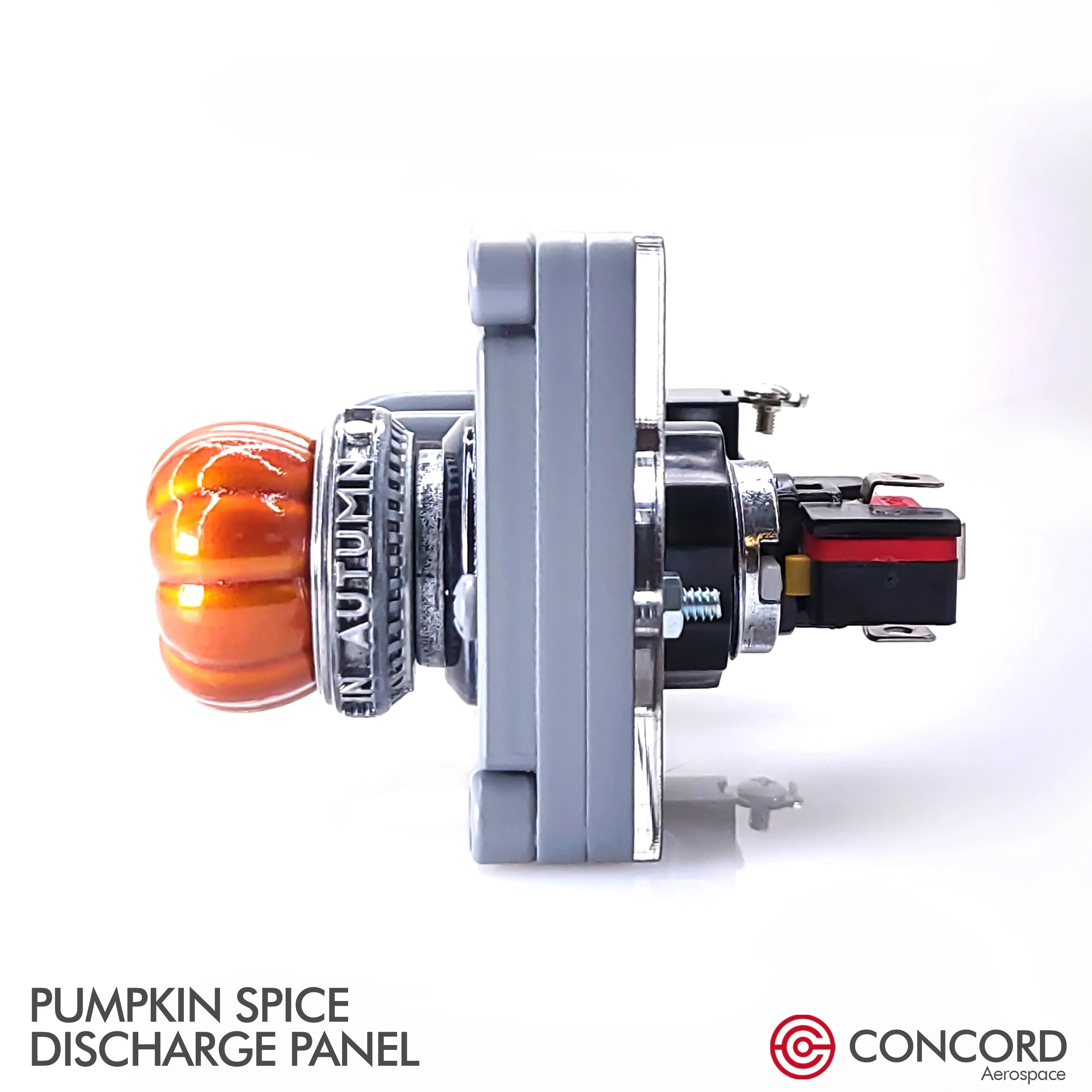 PUMPKIN SPICE DISCHARGE PANEL