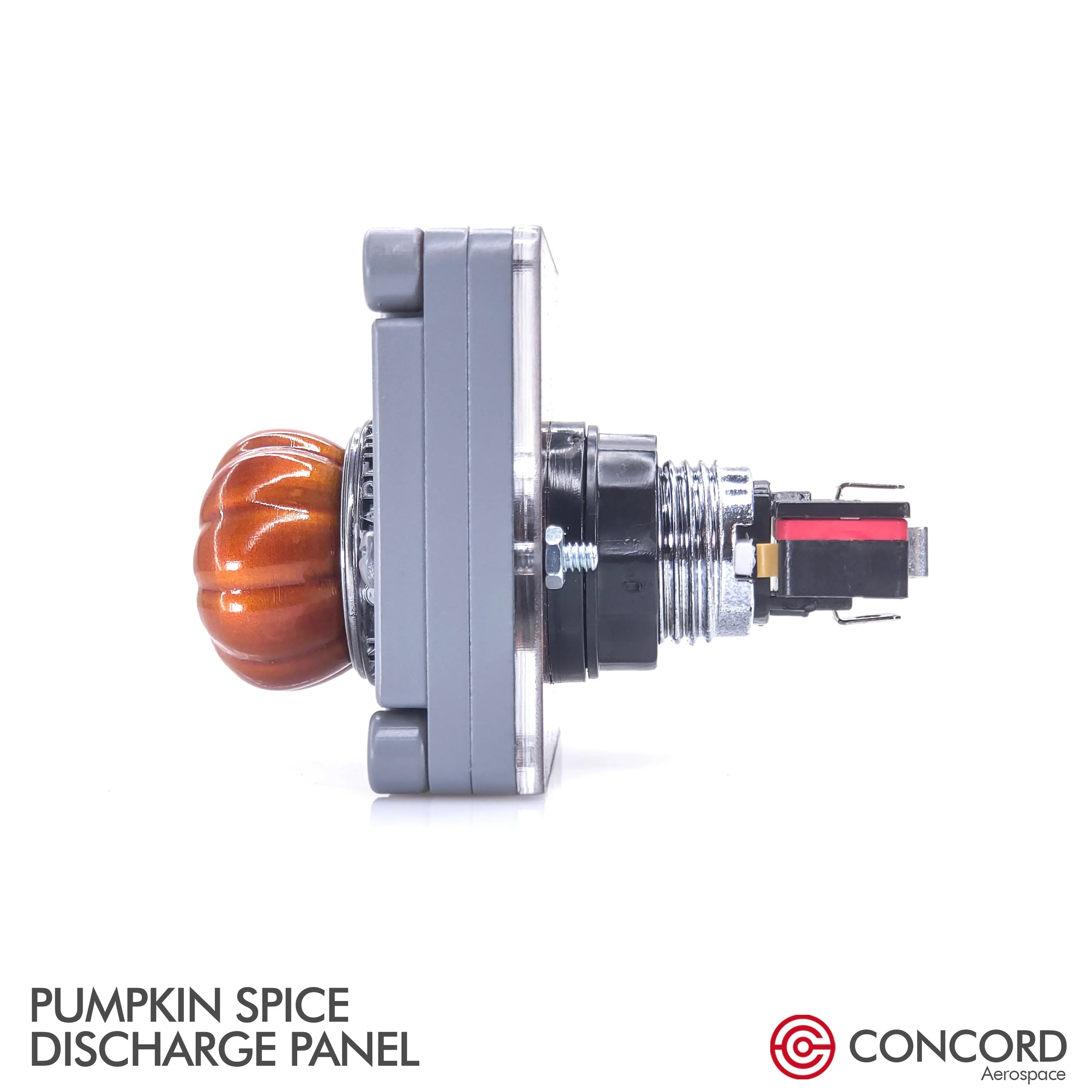 PUMPKIN SPICE DISCHARGE PANEL