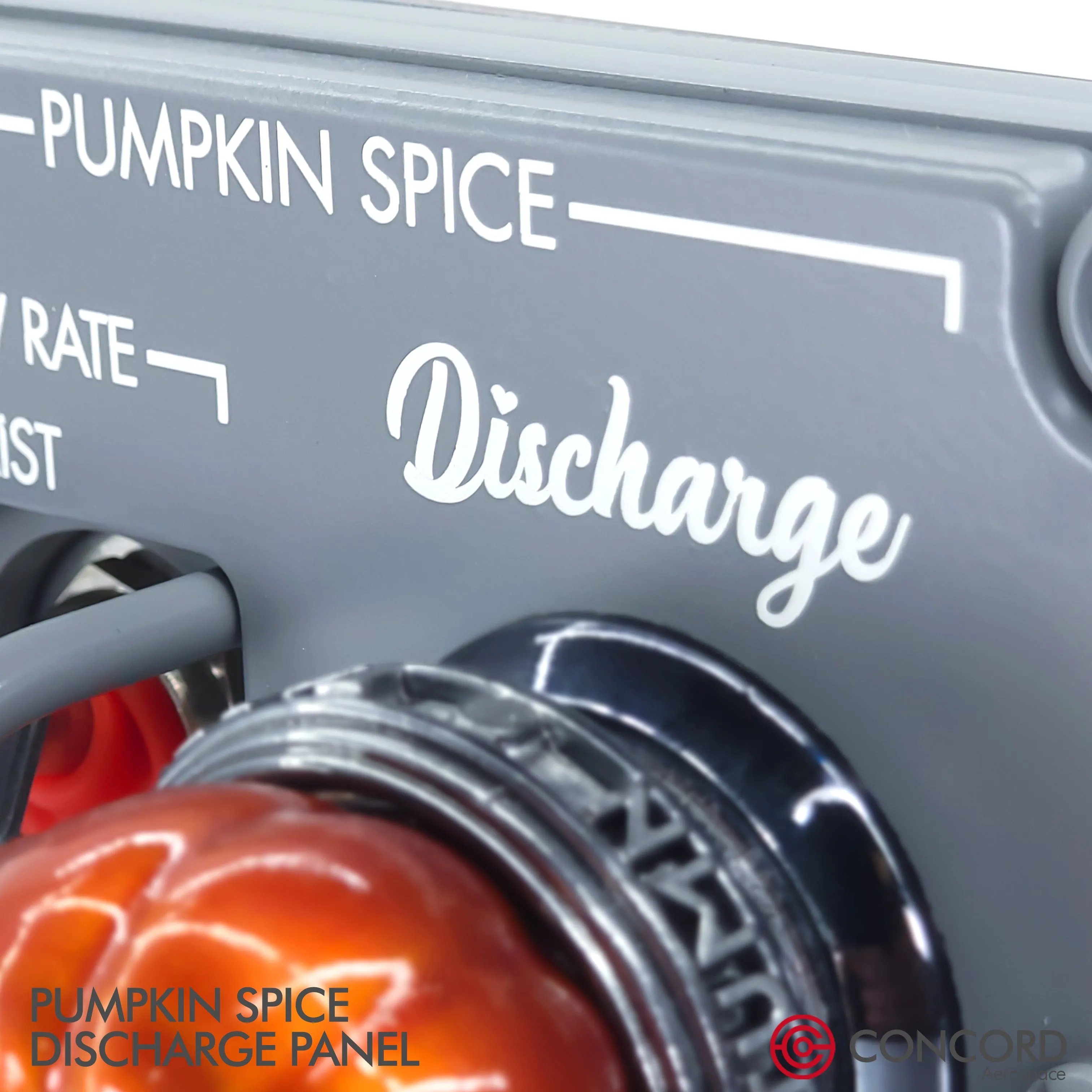 PUMPKIN SPICE DISCHARGE PANEL
