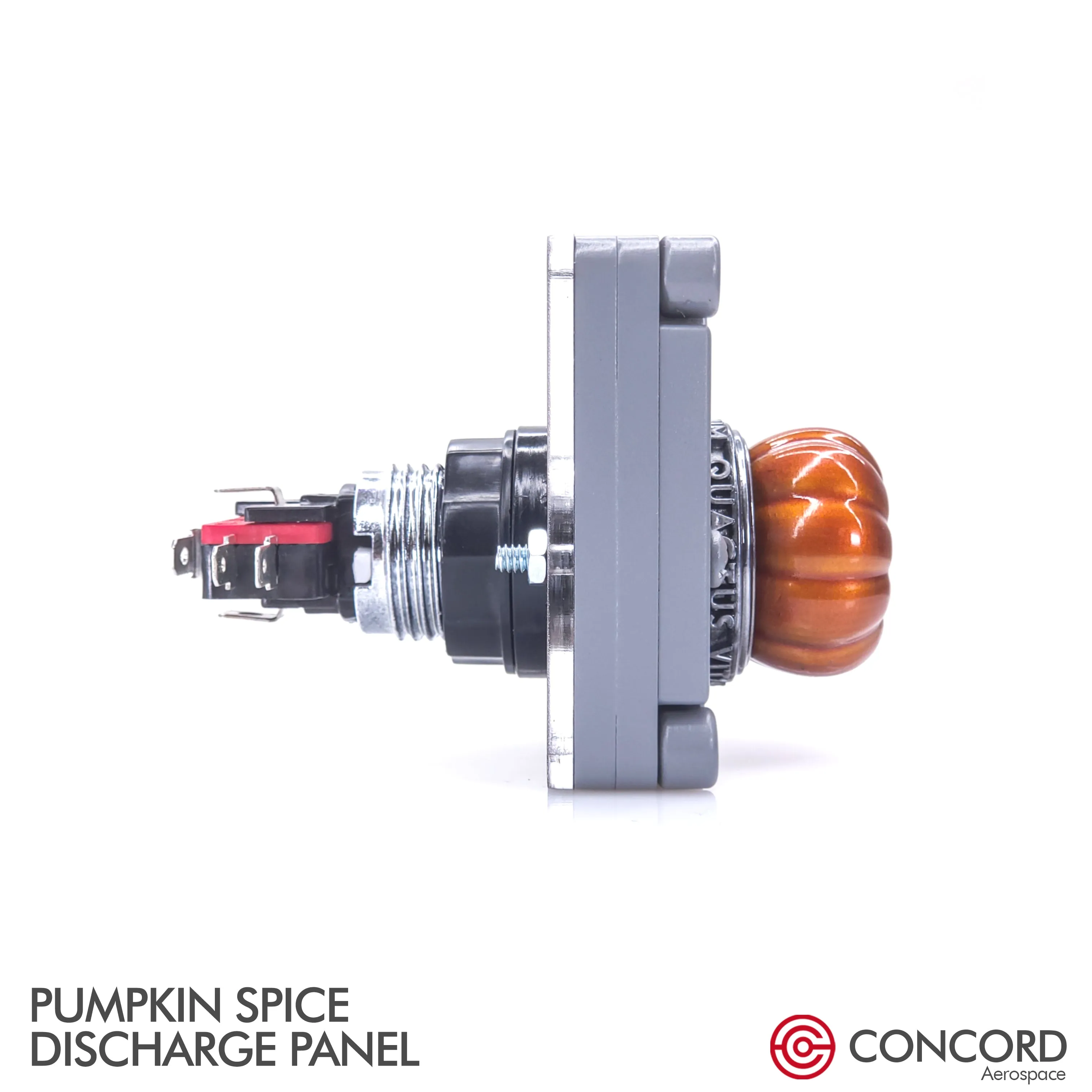 PUMPKIN SPICE DISCHARGE PANEL