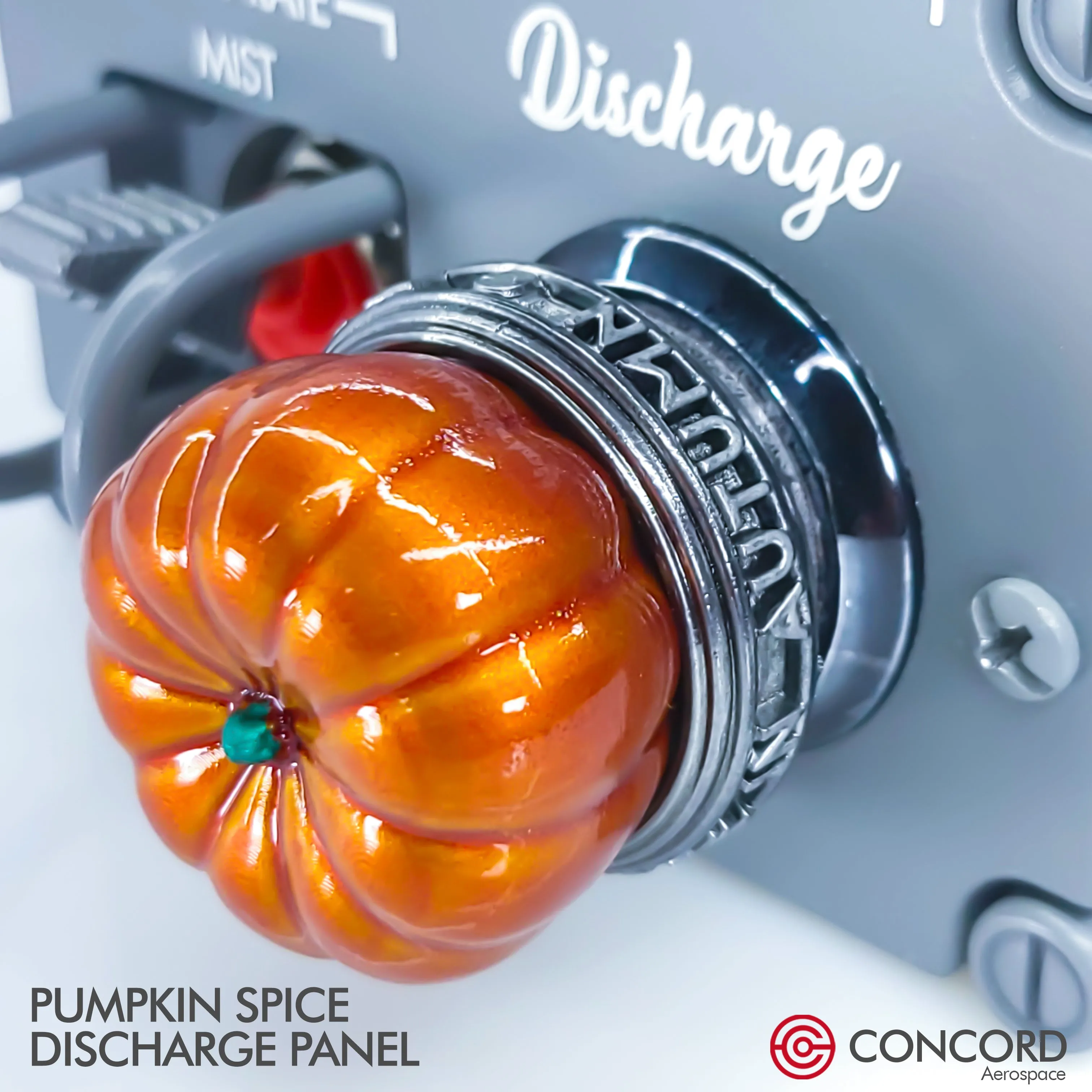 PUMPKIN SPICE DISCHARGE PANEL